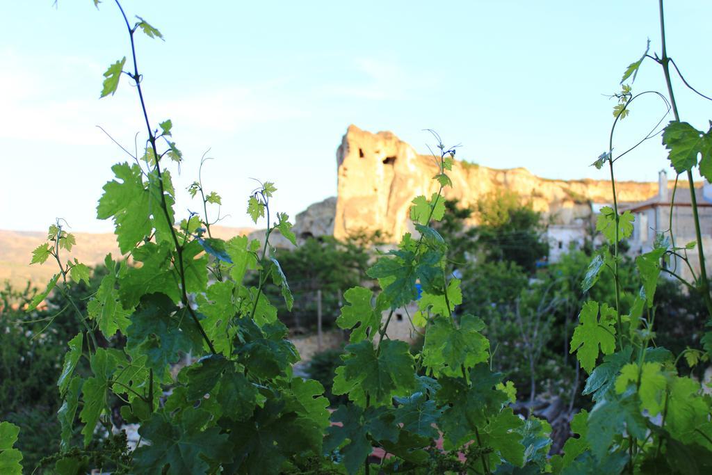 Elif Stone House Hotel Urgup Exterior photo